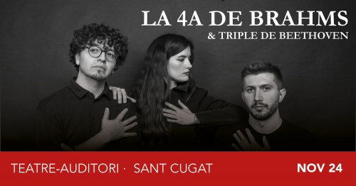 Hacer clic para ampliar La 4a de Brahms